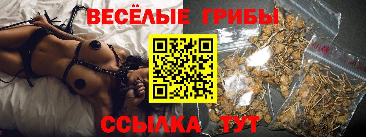 Галлюциногенные грибы Psilocybe  Вход с VPN  Галлюциногенные грибы Cubensis  Белогорск 