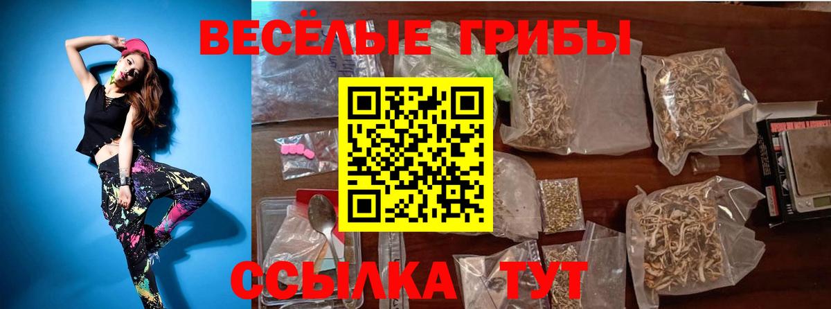Псилоцибиновые грибы Psilocybe Белогорск